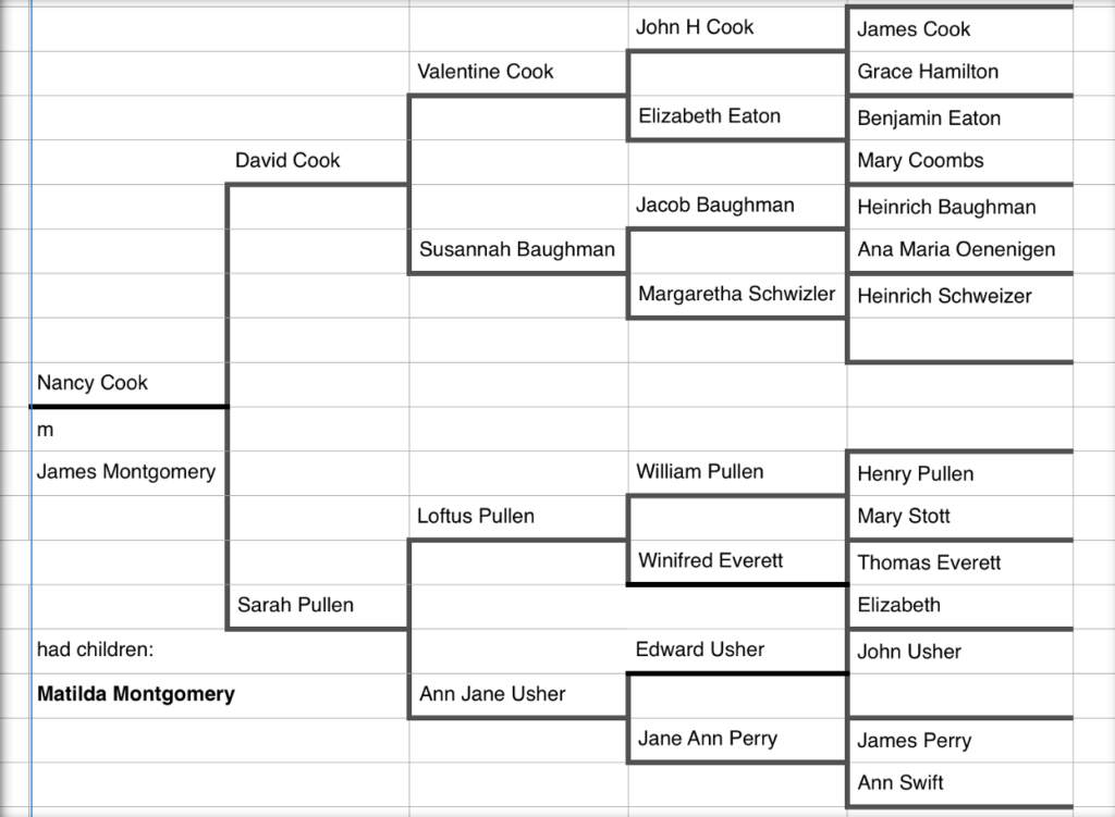 PEDIGREE CHARTS – The Tree of Life